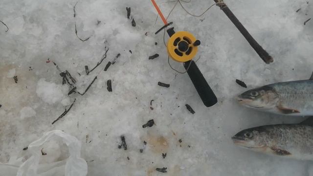 Глухозимье, кто умеет тот ловит! смотреть онлайн