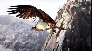 Легенда о Чингиз хане и его соколе