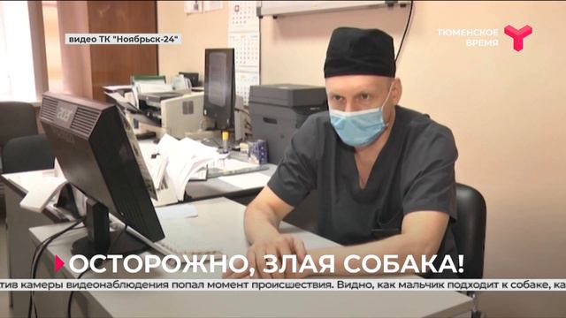 В Ноябрьске сторожевой пёс укусил школьника за лицо