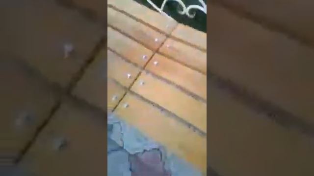 Обзор детской площадки и площади смотреть онлайн