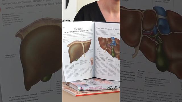 Книга по АНАТОМИИ человека