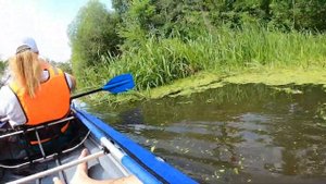 Сплав вокруг заповедника "Лохин Остров"