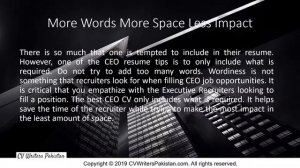Best CEO CV - Critical Things to Be Careful About