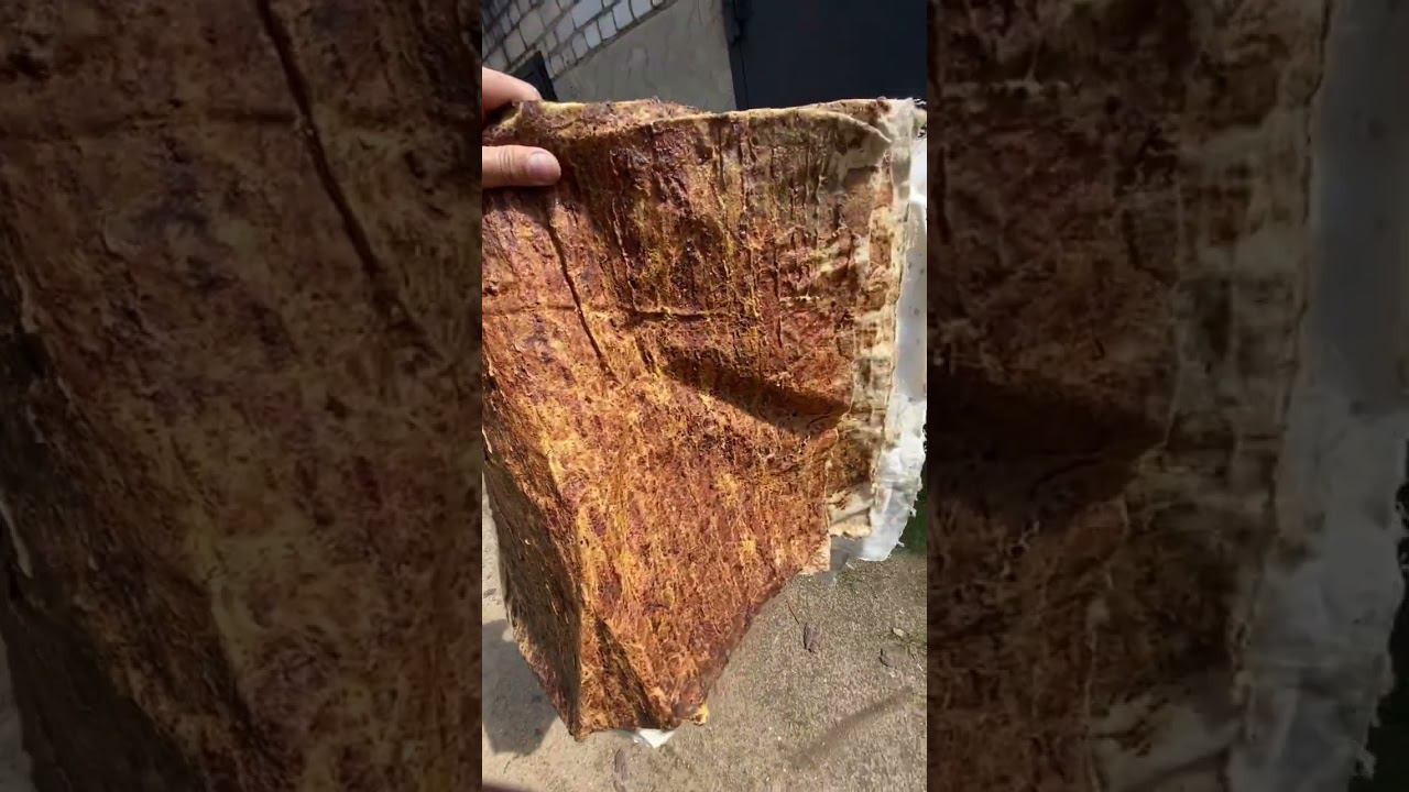 Очень полезная вещь сделанная пчелками! смотреть онлайн