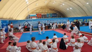 турнир 20.02.22г. весовая категория 8 лет до 30кг. 1й бой