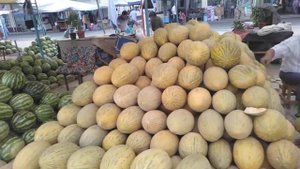 Арбузный базар! Янгиюль! Горы арбузов и дынь!