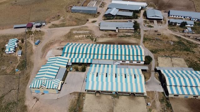 Голштино-фризская порода из Украины: рацион, надои, акклиматизация КРС в Казахстане | Sharkul Food смотреть онлайн