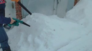 Экспресс тест воздуходувок. Январь 2024