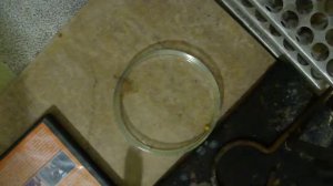 Натрий и азотная кислота|Natrium and nitric acid | Na + HNO3