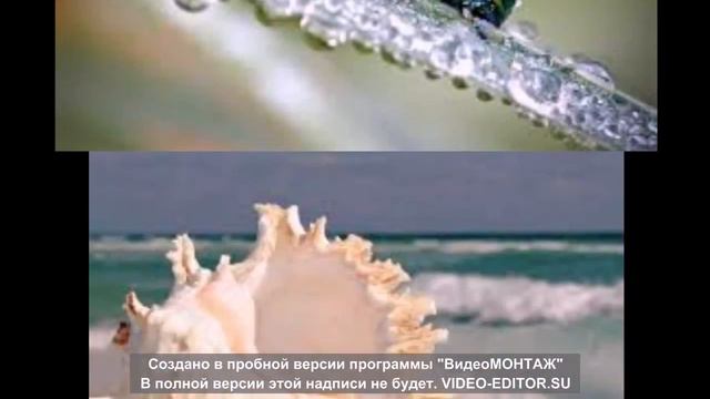 красивые картинки смотреть онлайн