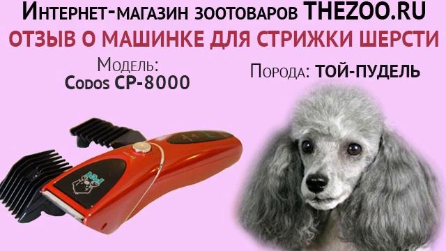 Отзыв: Юлия Дегтярева, машинка для стрижки шерсти Codos CP-8000, порода - пудель смотреть онлайн