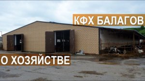 КФХ Балагов. Молочный КРС. Рассказ о хозяйстве. Кабардино-Балкария