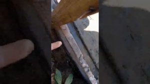 Фундамент под не несущую перегородку