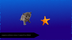 Недели котёнок сезон 2 серия 8 на tiktok