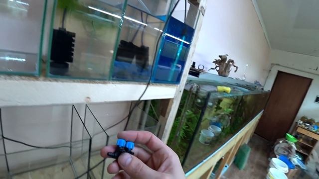 Посадил рыбок на новые сетки )) смотреть онлайн