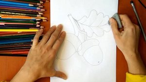 Как нарисовать желудь. Онлайн-школа рисования "Малевашки"