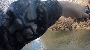 СИЛЬНАЯ РЫБА!!! ГОЛАВЛЬ в НОЯБРЕ!! #голавль #абин #река #luckyjohn #daiwa #fishing #november