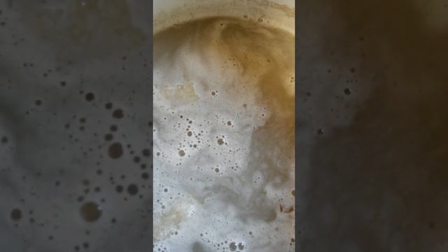 Добавляем ещё воды в кипящую массу похлёбки для собаки, чтобы пшеничной крупе было чем разбухать смотреть онлайн