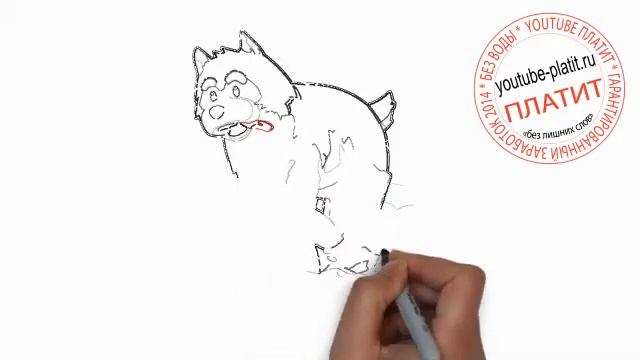 Нарисованные карандашом собаки Как нарисовать Хаски смотреть онлайн