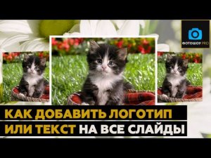 Как добавить логотип или текст на все слайды