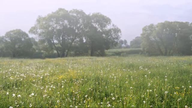 Соловей у реки смотреть онлайн
