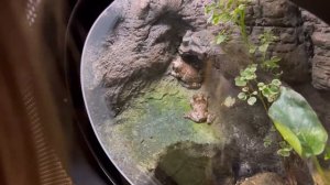 Мы с Катюшкой в океанариуме. Куда сходить с детьми на Пхукете?!