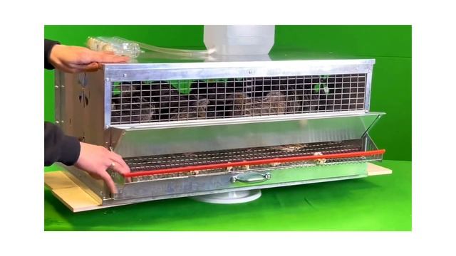 Клетка для перепелов на 30 голов смотреть онлайн