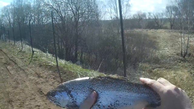 Форелевая рыбалка на базе Баскак смотреть онлайн