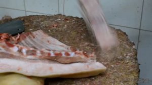 Мясной дамасский нож, нож из 9ХС Сокол и нож складной 95Х18 Алтай - видеообзор