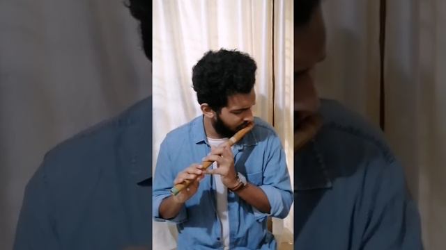 My heart will go on | Flute cover |Titanic смотреть онлайн