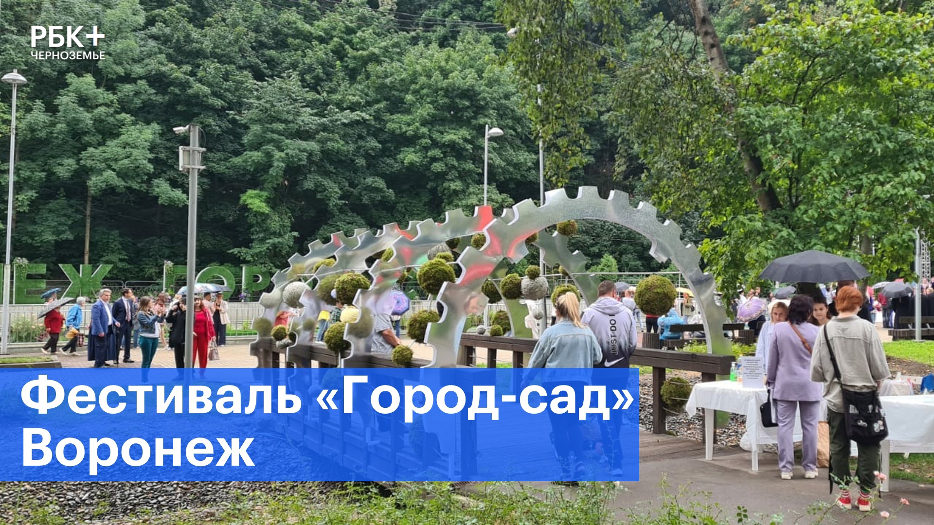100 тысяч воронежцев посетили фестиваль «Город-сад» в 2023 году