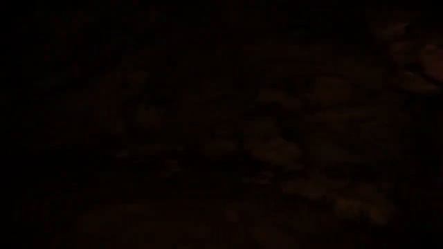 The Long Dark(Волчья Гора) - Хижина Альпиниста. Часть 1 смотреть онлайн