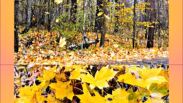 Вот и осень, вот и осень... смотреть онлайн