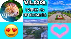 VLOG:4 Выставка рыб "Подводный мир"/Гуляю по Ярославлю/Поднялась на Звонницу/04.07.2019год