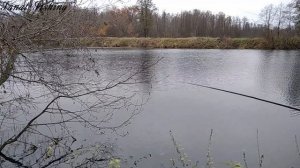 Рыбалка на кивок с мормышкой, поплавок и фидер.