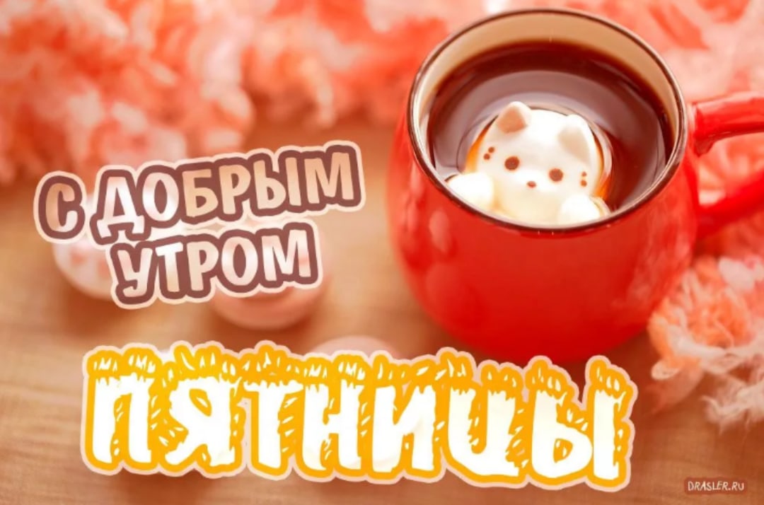 Pin by Galina Kalinina on Утроооо) Food, Fruit, Cantaloupe