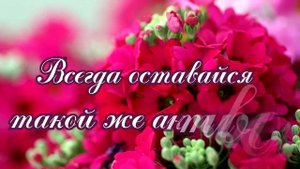 Красивое поздравление – С Днем Рождения Бабушка