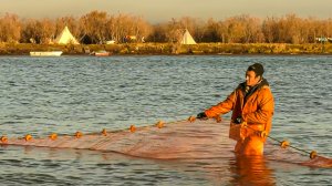 Рыбалка на Севере. Промысел ряпушки. Хариусы - гиганты | C полем! Избранное