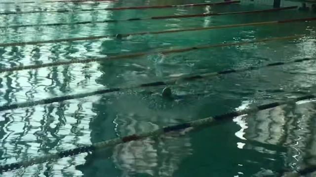 Брасс 50 м смотреть онлайн