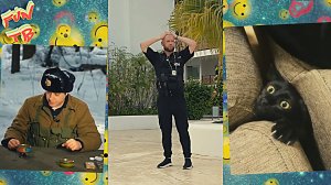 Подборка позитивных видео приколов из интернета | # 10