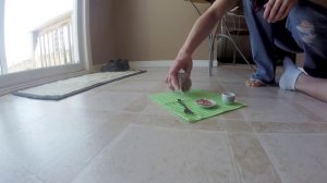 Хомяк ест пиццу (за сценой)