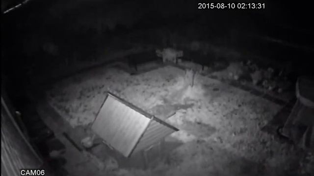 Установка видеонаблюдения на дачу смотреть онлайн