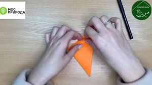 Мастер-класс «Оригами лисичка»