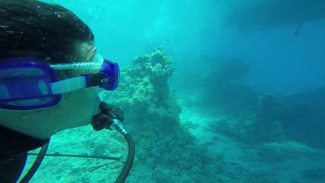 ПЕРВОЕ ПОГРУЖЕНИЕ, ДАЙВИНГ в красном море, общаемся с МЕСТНЫМИ