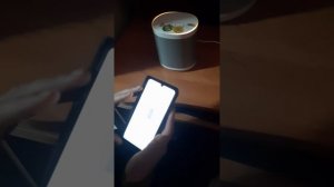 Как подключать по слепому Mi Smart Speaker к мобильному интернету. К телефону на котором учётка.