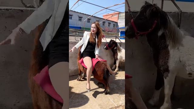 Pony riding fail