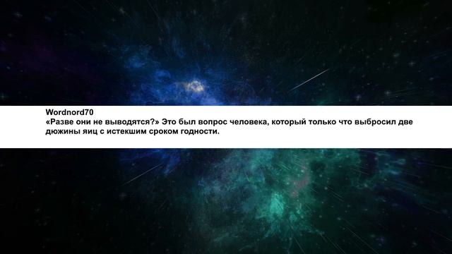 Какой самый тупой вопрос вам задавали? Глупые вопросы из жизни.