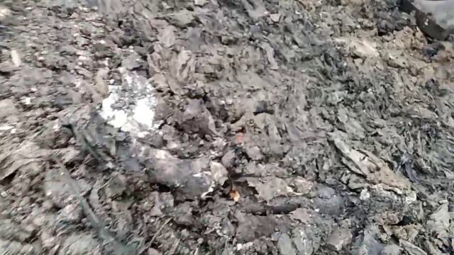 Поймали злодея прямо при корреспондентах Россия-1| Река Уча смотреть онлайн