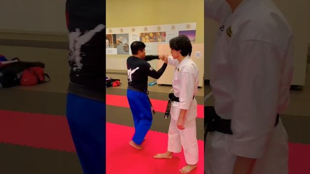 Koentjoro Martial Arts #martialarts #throwing #takedown #shorinjikempo #aikido #juho