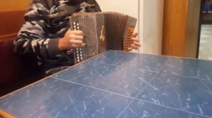 Игра на гармошке "Лаванда"